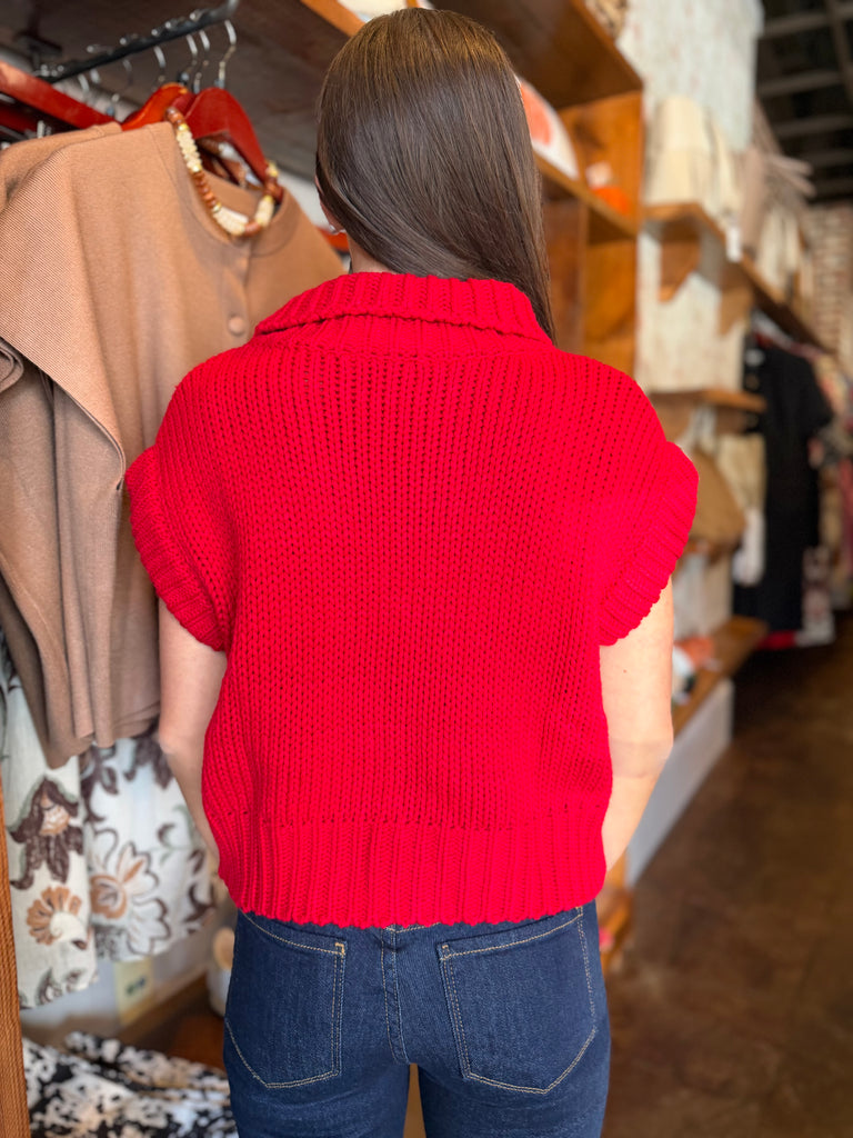 Red Crop Knit Sweater Top