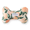 Squeaky Toy